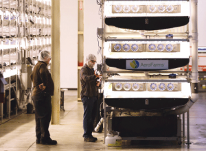 A worker maintains growing towers at AeroFarms in Newark.