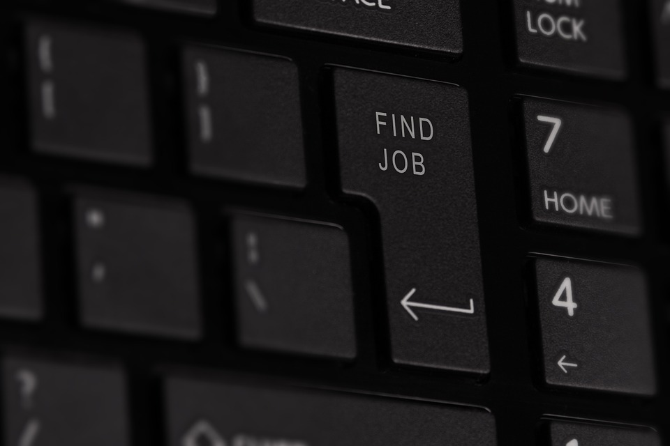 Job search
