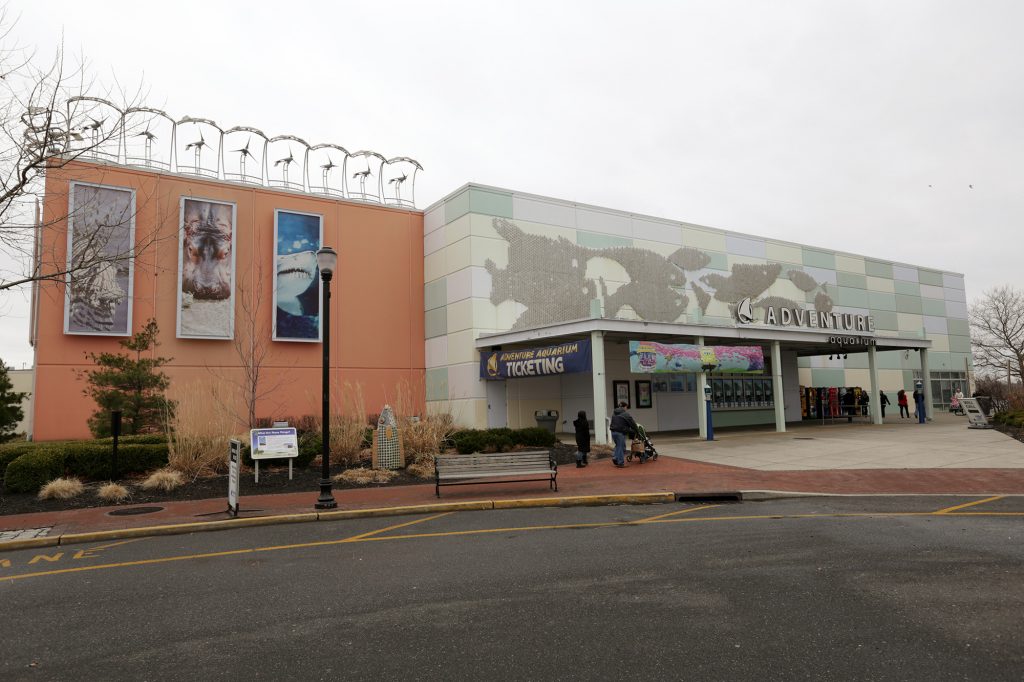 Adventure Aquarium in Camden.