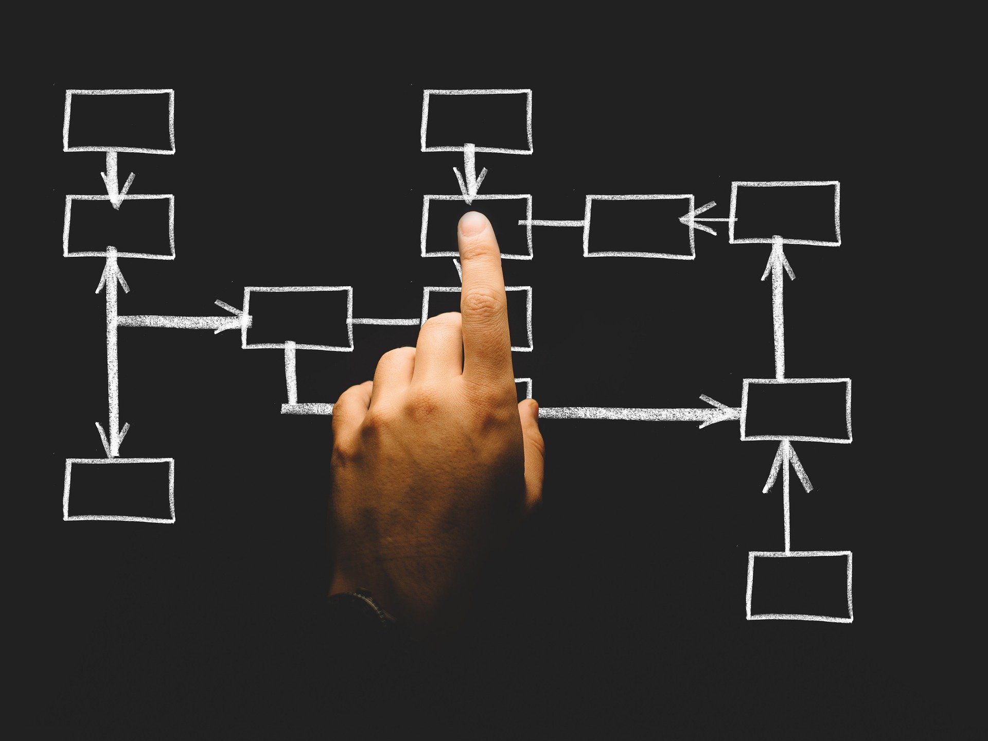 Organization Organization Chart Building Business