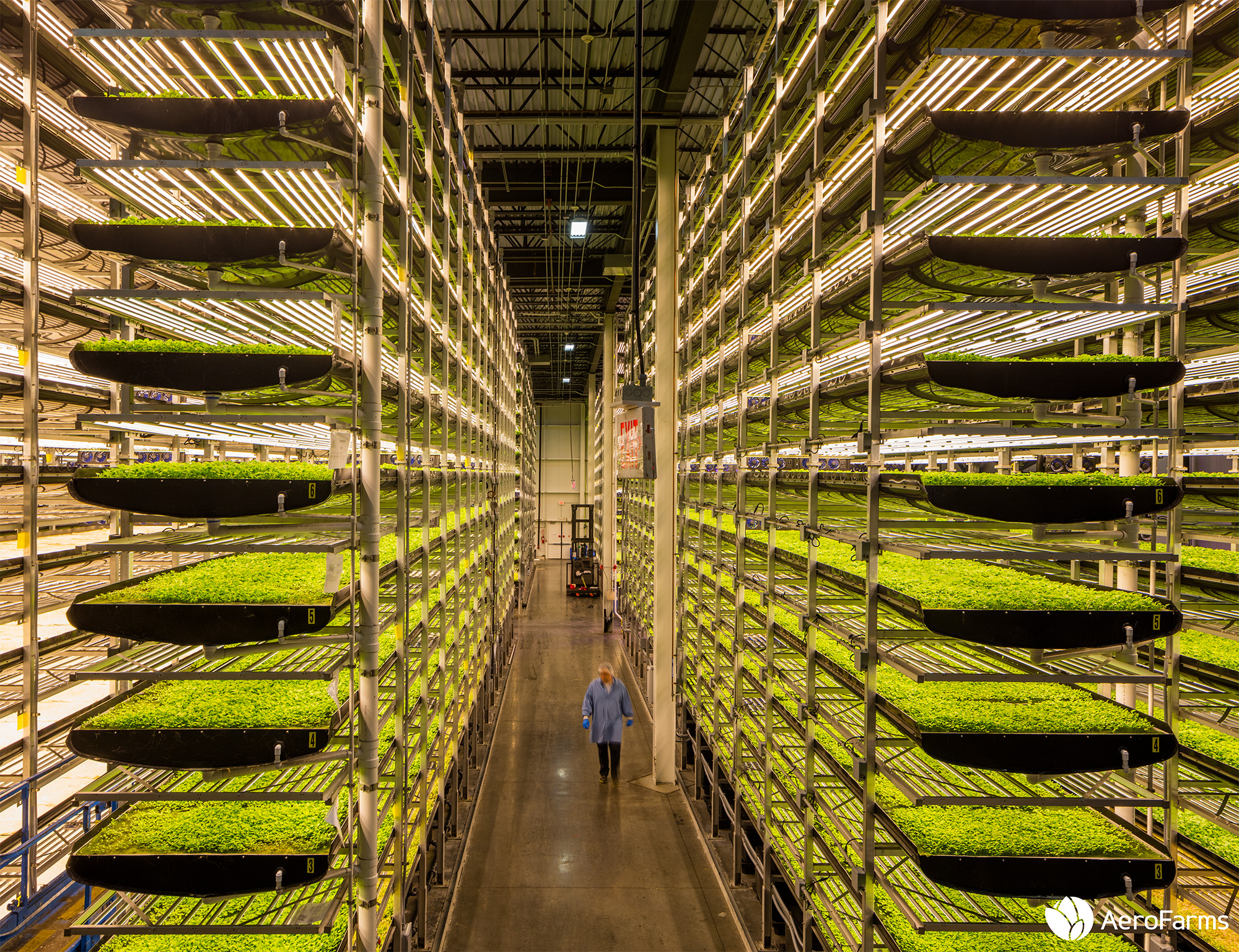 AeroFarms vertical farming facility in Newark.