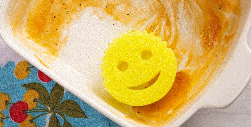 “Shark Tank” TV show success Scrub Daddy