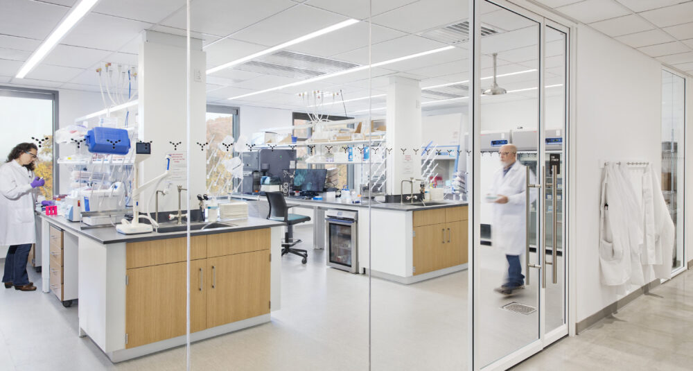 Genmab was looking to have Gensler create a sense of transparency and connectivity between the lab and workplace.