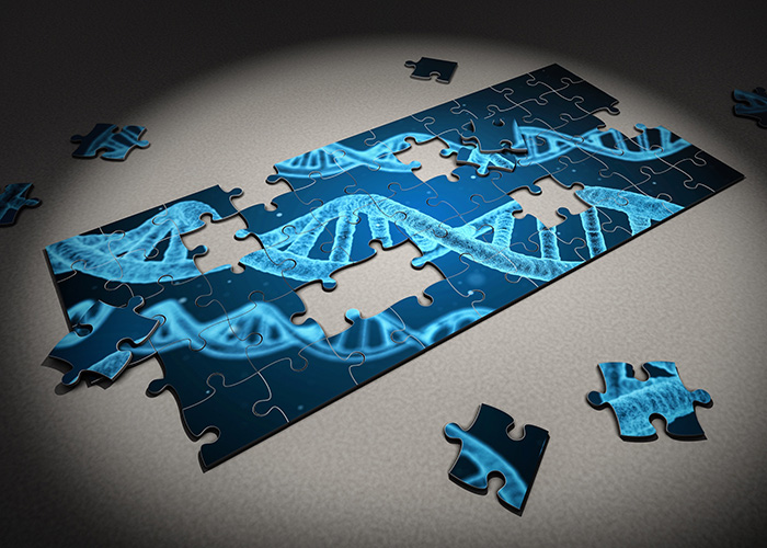Puzzle DNA