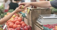 Farmers market apples