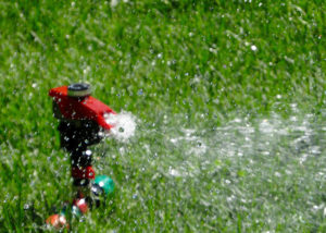 Lawn watering