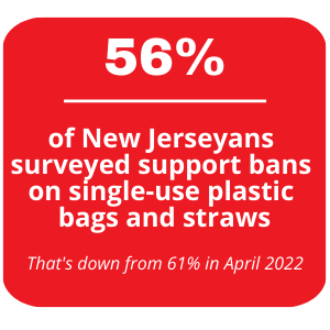 Bag ban survey