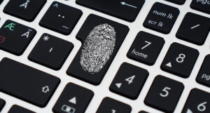 Forensic accountants