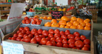 When it comes to produce, New Jersey is among the top 10 producers nationally of several crops, including tomatoes ($47.3 million).