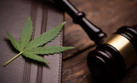 Cannabis and the law