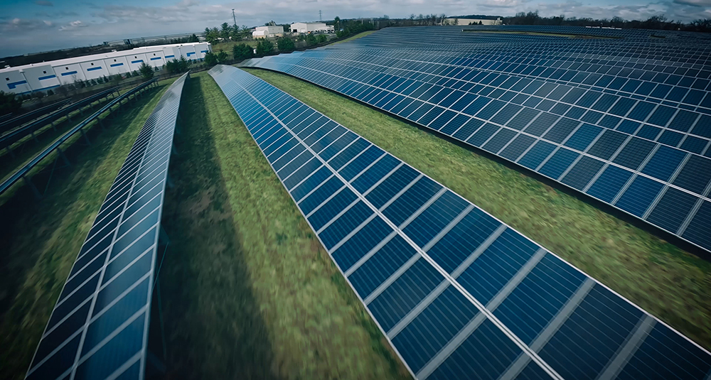 Jersey City-based sustainable strawberry grower Oishii recently opened a massive solar-powered indoor vertical strawberry farm in Phillipsburg.