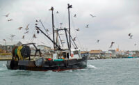Commercial fishing boat returning to harbor