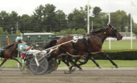 Freehold Raceway was established in 1853 and features live Standardbred harness racing for trotters and pacers.