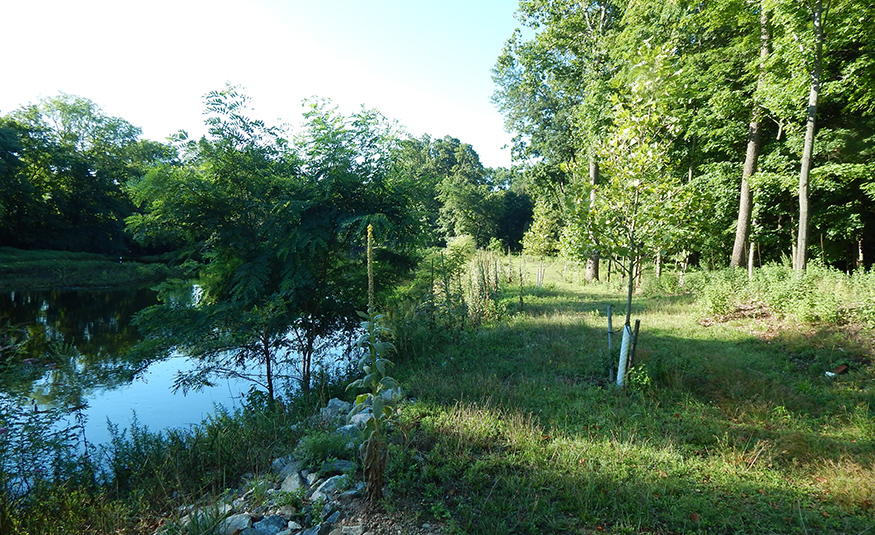 Riverine flooding is another dangerous form of flooding that can move quickly and leave destruction in its wake.
