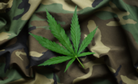 Veterans and medical marijuana use