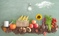 Food innovation