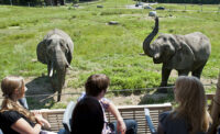 The Safari Off Road Adventure at Six Flags Great Adventure in Jackson.