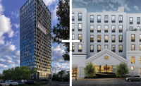 Atlas and Starling in Jersey City's Bergen-Lafayette neighborhood