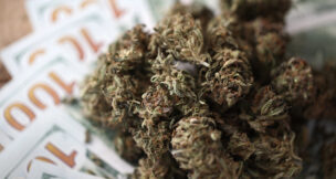 Cannabis sales