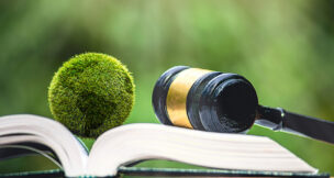 Environmental Law