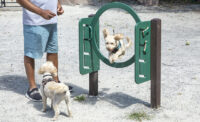 Essex County South Mountain Reservation Dog Park in West Orange