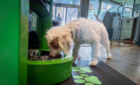 TD Bank has introduced Automated Treat Machines (ATMs), offering free snacks for customers’ dogs.