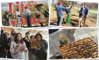 Pic Page: April 27, 2026