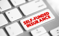 self-funded insurance plans conceptual art
