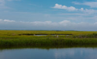 Shot overlooking NJ wetlands with blue skies, white clouds and an egret in the water