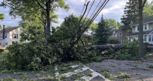PSE&G shared photos of damage caused by severe storms July 3, 2026, around the state.